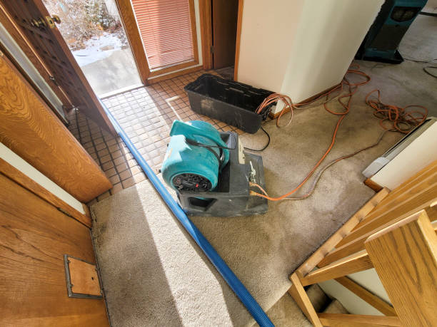 Carpet water damage restoration in Ackley, IA