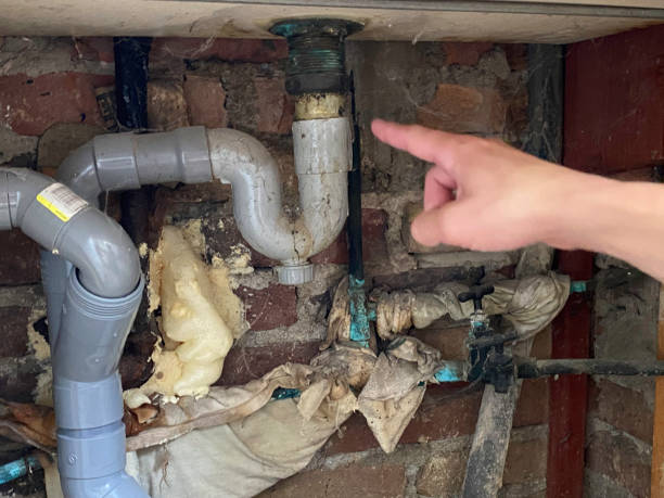 Best Water damage restoration near me  in Ackley, IA